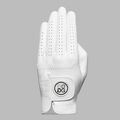 MEN'S SIGNATURE GOLF GLOVE image number 1